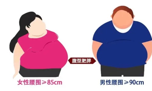 吴茱萸颗粒说明书-吴茱萸颗粒的功效和作用及禁忌网 | 吴茱萸汤颗粒中成药,吴茱萸图片功效与作用